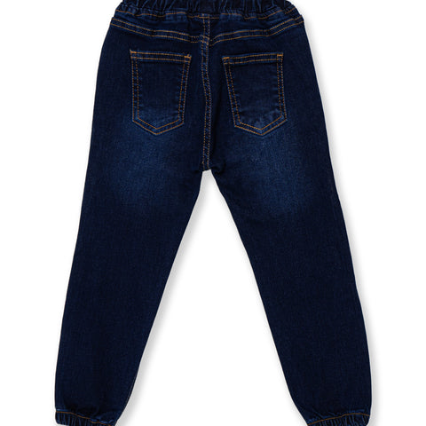 Boys Joggers pant